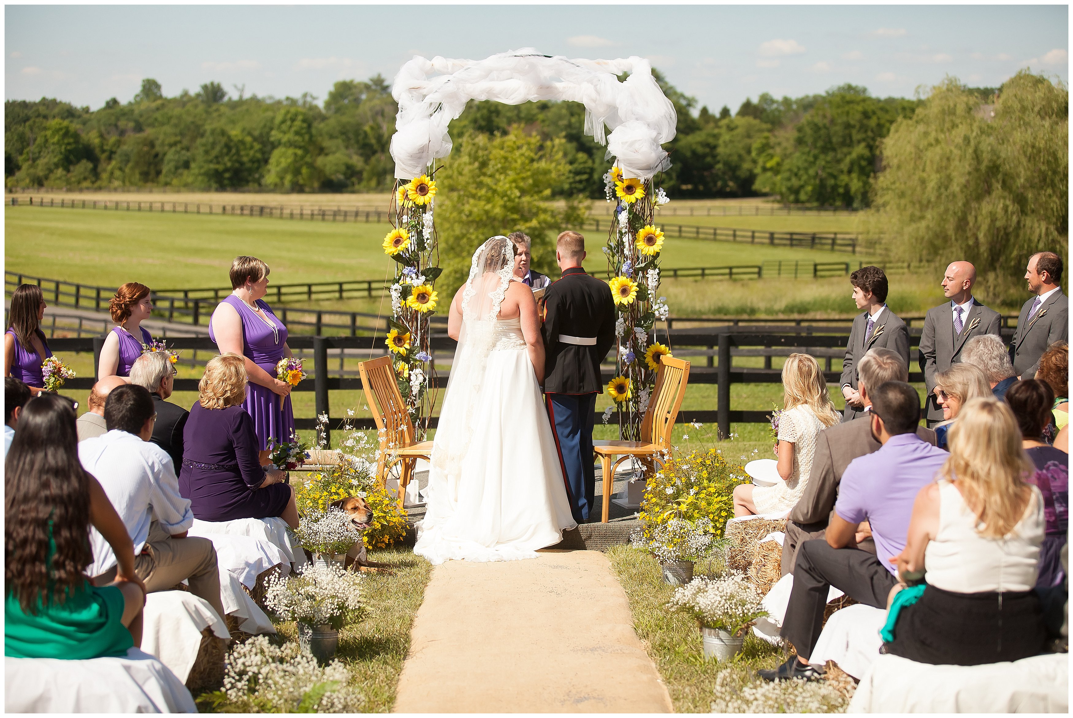 Candice Adelle Photography Virginia Wedding Photographer_0411.jpg