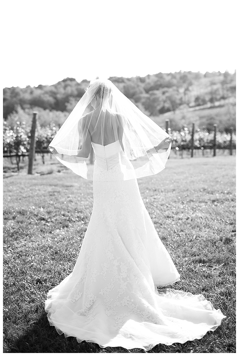Candice Adelle Photography Virginia Wedding Photographer_0205.jpg