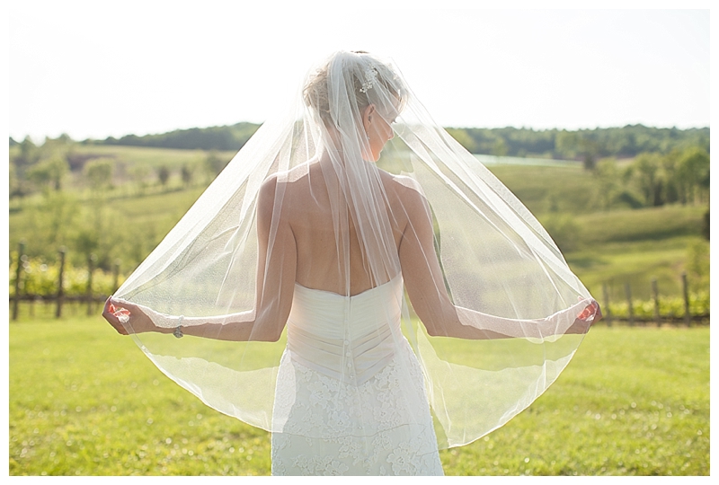 Candice Adelle Photography Virginia Wedding Photographer_0206.jpg