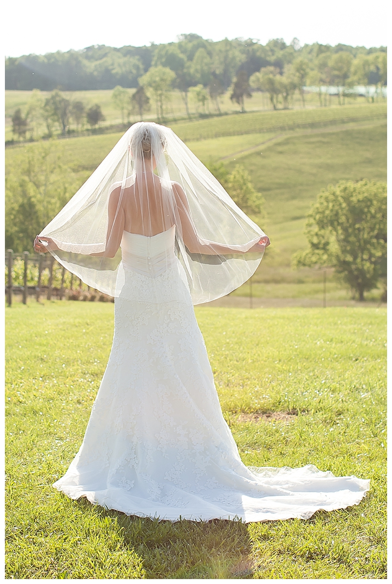 Candice Adelle Photography Virginia Wedding Photographer_0207.jpg