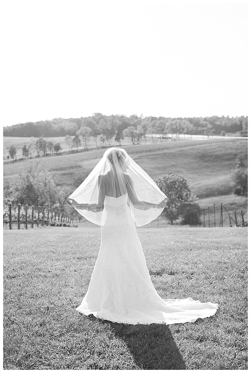 Candice Adelle Photography Virginia Wedding Photographer_0208.jpg
