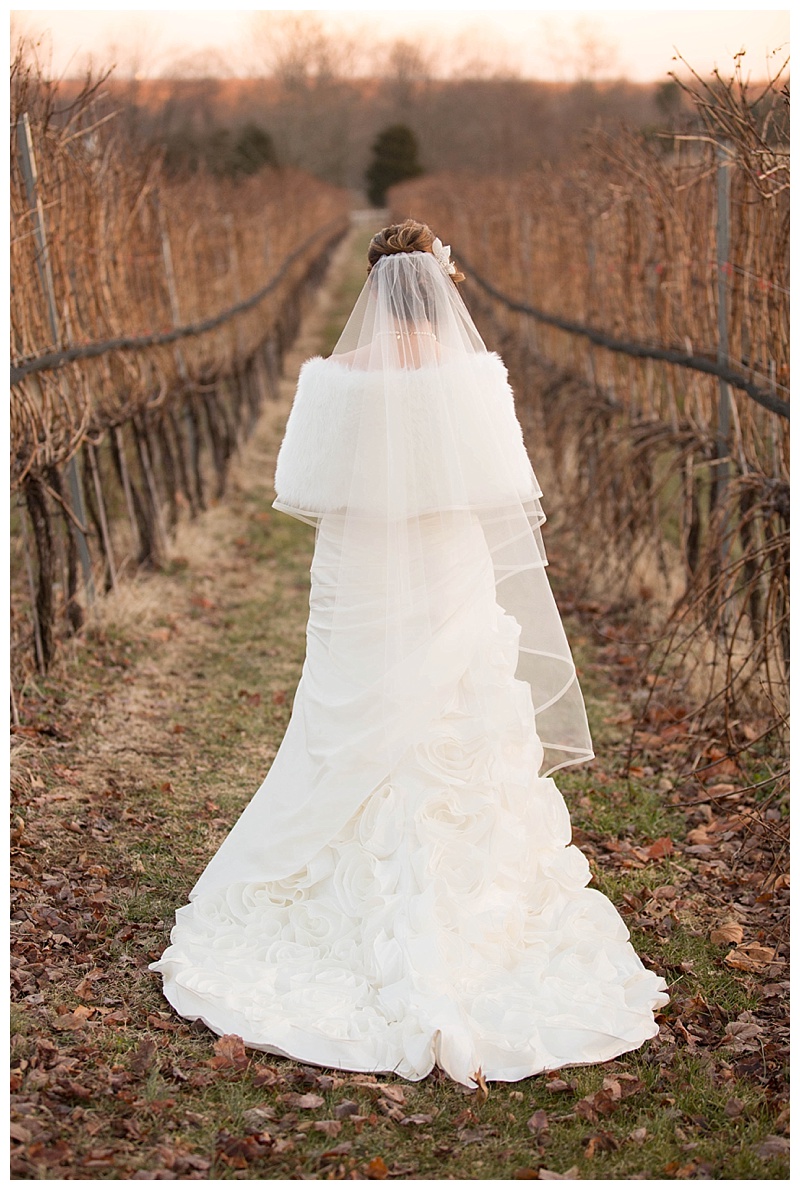 Candice Adelle Photography VA Wedding Photographer_0294.jpg