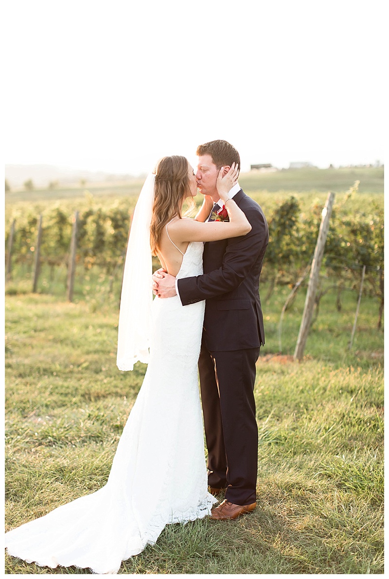 Candice Adelle Photography Virginia and Destination Wedding Photographer MD VA DC Destination Wedding Photographer Blue Valley Winery Wedding_4339.jpg