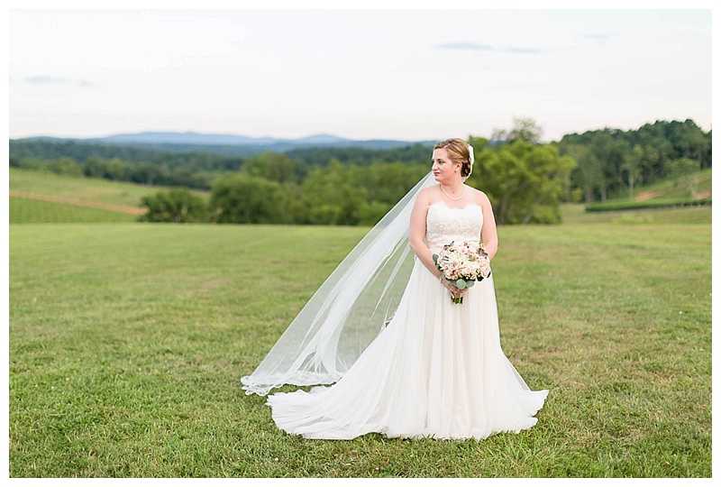 Candice-Adelle-Photography-Virginia-and-Destination-Wedding-Photographer-MD-VA-DC-Destination-Wedding-Photographer-Stone-Tower-Winery-Leesburg-VA_3859.jpg