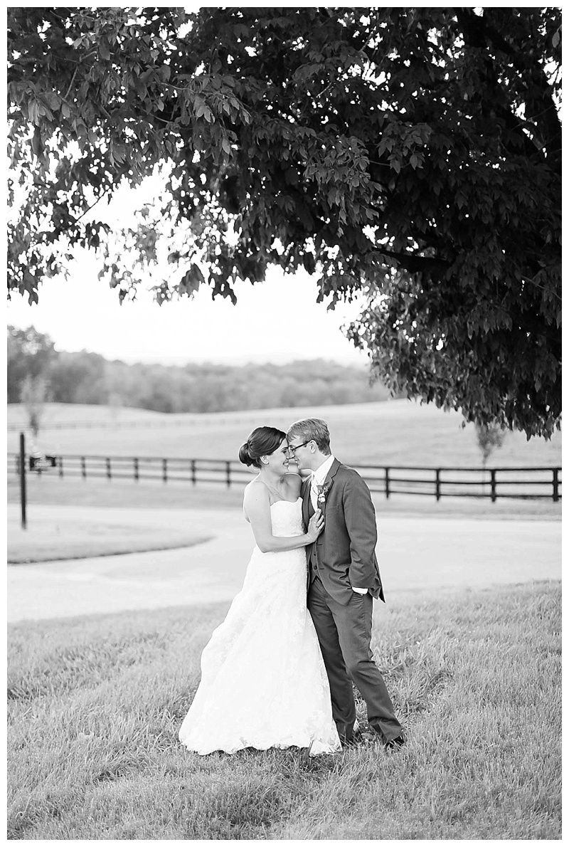 Candice Adelle Photography Virginia and Destination Wedding Photographer MD VA DC Destination Wedding Photographer Stone Tower Winery Leesburg VA_4071.jpg