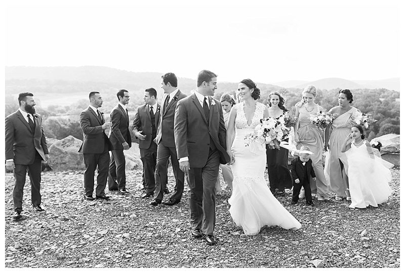 Candice Adelle Photography Virginia and Destination Wedding Photographer MD VA DC Destination Wedding Photographer Blue Valley Winery Wedding_4450.jpg