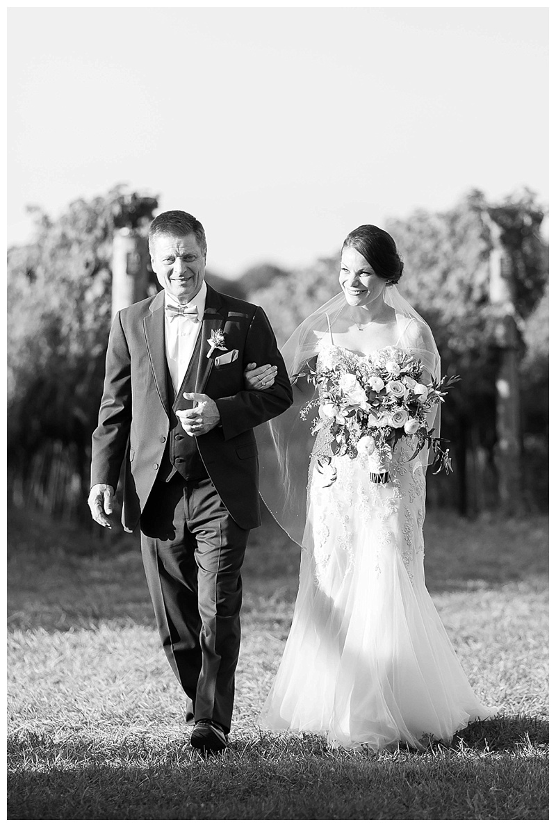 Candice Adelle Photography Virginia and Destination Wedding Photographer MD VA DC Destination Wedding Photographer Blue Valley Winery Wedding_4631.jpg