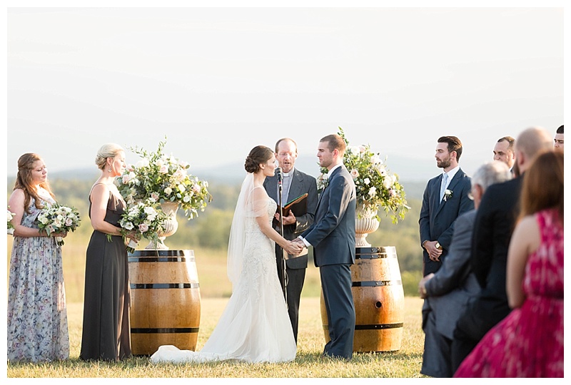 Candice Adelle Photography Virginia and Destination Wedding Photographer MD VA DC Destination Wedding Photographer Blue Valley Winery Wedding_4639.jpg