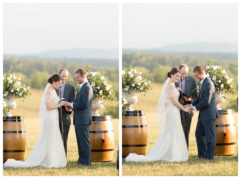 Candice Adelle Photography Virginia and Destination Wedding Photographer MD VA DC Destination Wedding Photographer Blue Valley Winery Wedding_4640.jpg