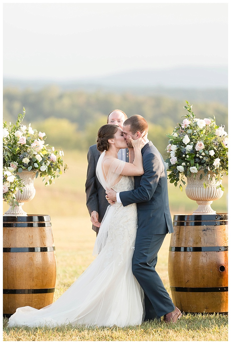 Candice Adelle Photography Virginia and Destination Wedding Photographer MD VA DC Destination Wedding Photographer Blue Valley Winery Wedding_4641.jpg
