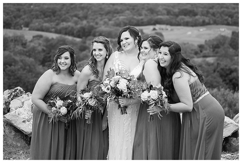 Candice Adelle Photography Virginia and Destination Wedding Photographer MD VA DC Destination Wedding Photographer Blue Valley Winery Wedding_4787.jpg