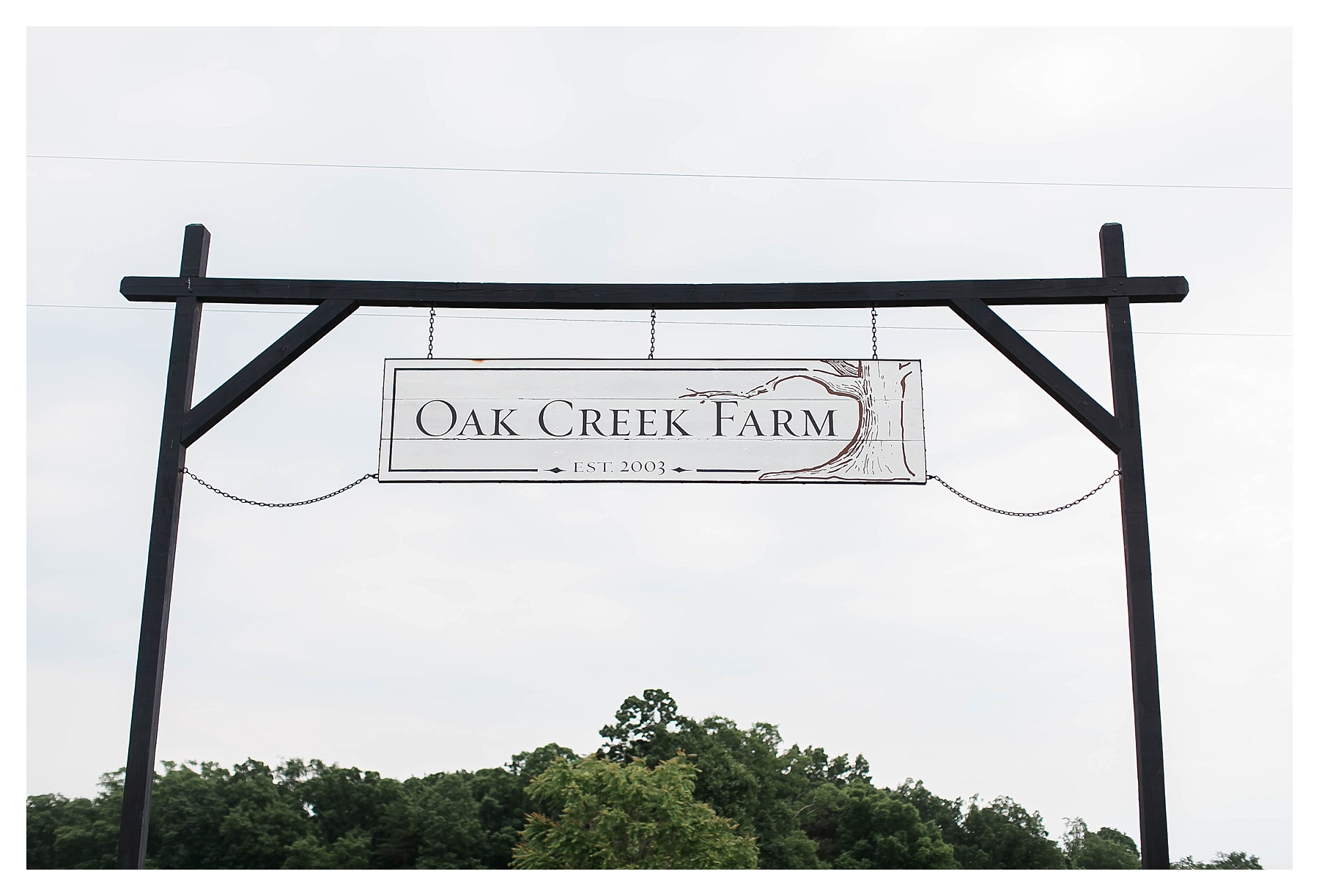 Candice Adelle Photography Oak Creek Farm Virginia Wedding Photographer_0447.jpg